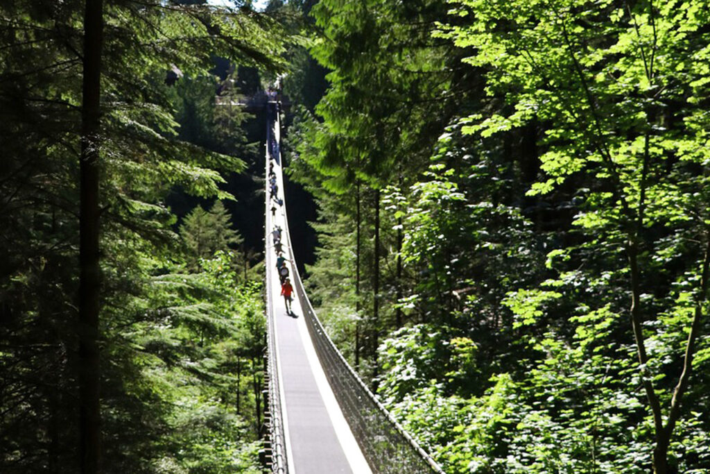 キャピラノ吊り橋（Capilano Suspension Bridge Park）